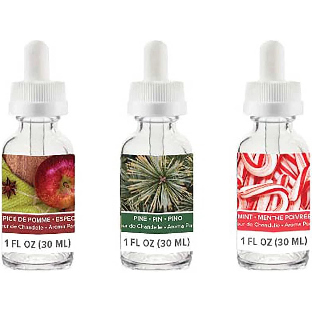 New π We R Memory Keepers® Wick™ Holiday Candle Scent, 3ct. β¨